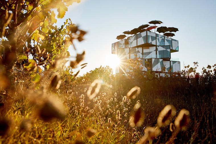 d'Arenberg Cube in McLaren Vale wine country served by SouthRun airport shuttles
