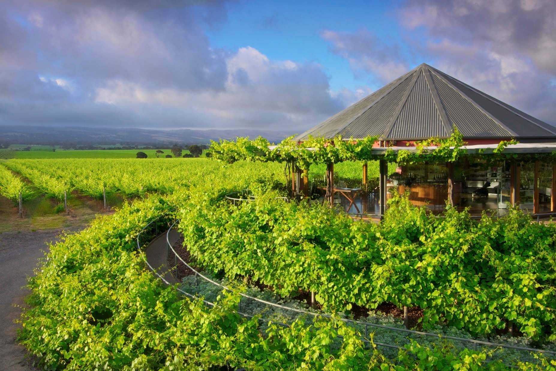 Hugh Hamilton Wines cellar door in McLaren Vale, South Australia