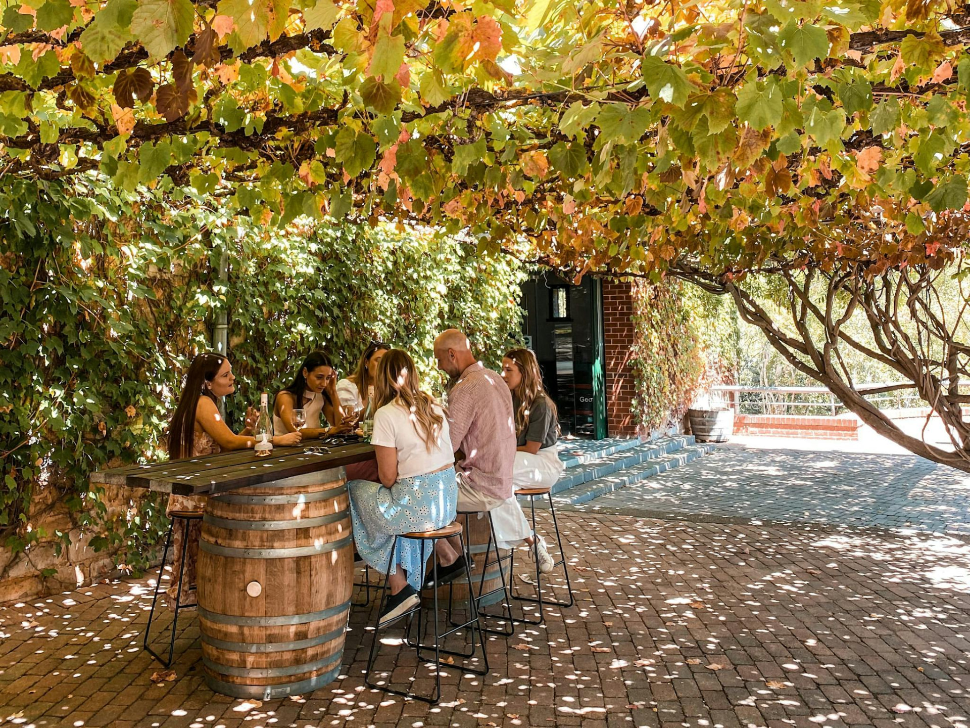 Group wine tasting at a barrel table under a leafy vine canopy