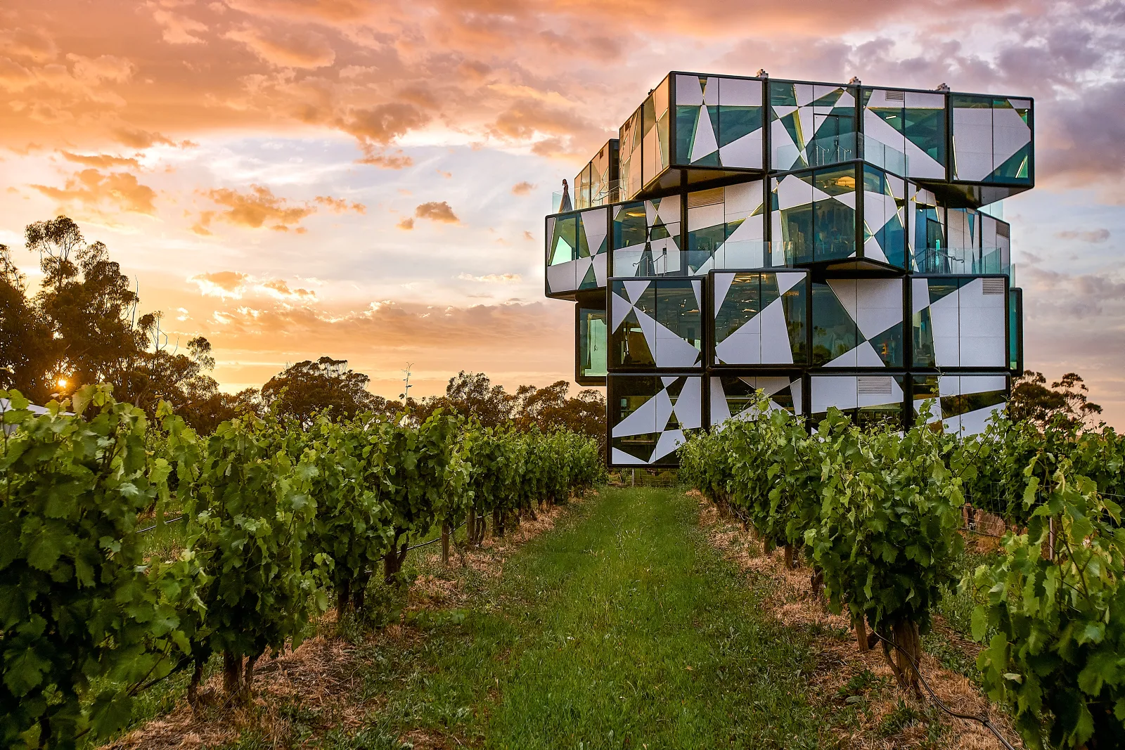 The d'Arenberg Cube at sunset among McLaren Vale vineyards