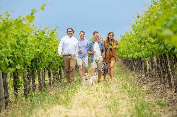 Guests walking through a McLaren Vale vineyard with wine glasses