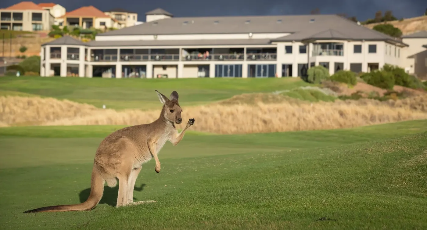 Coastal golf greens at Normanville on the western Fleurieu Coast served by SouthRun private transfers